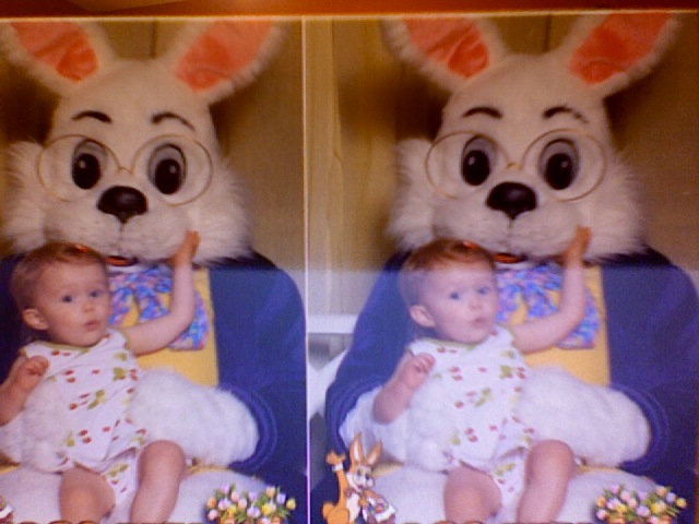 Easter Bunny