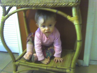 Table dweller
